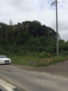 %e3%83%93%e3%83%bc%e3%82%af%e3%83%ac%e3%83%ab%e9%88%b4%e9%b9%bf%e2%91%a0