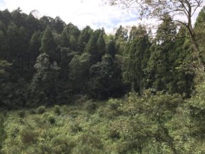 %e9%b9%bf%e5%85%90%e5%b3%b6%ef%bc%91