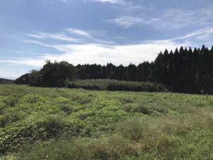 %e9%b9%bf%e5%85%90%e5%b3%b6%ef%bc%93