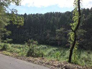 %e9%b9%bf%e5%85%90%e5%b3%b6%ef%bc%92